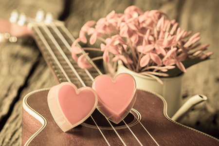 ʮ��������������