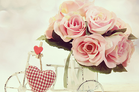 �����������ְҵ�����׷���