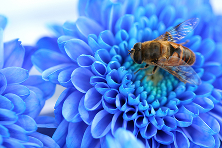 ���������˹�ϵ����ᷢ��ʲô�仯