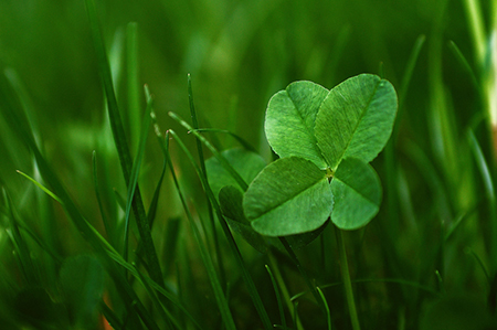 ��������˾������