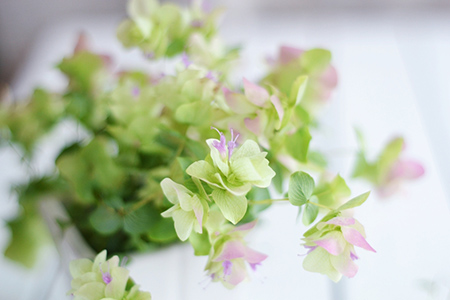 ��ʲô���İ�����ù��Ͼܾ���