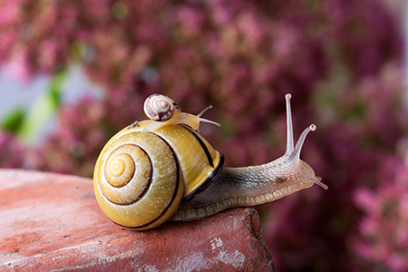 �������ʺ���������ܰ��ˣ�