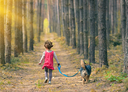 ������ţ�к�������ȫ