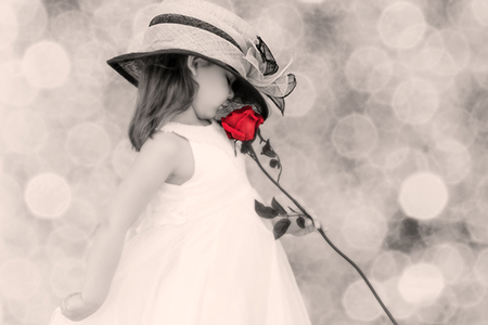 ������ĺ���������