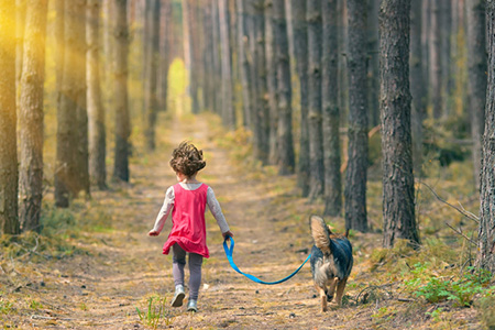 ���εĺ���������