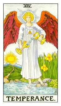 ����������Ƶ���˼��ʲô