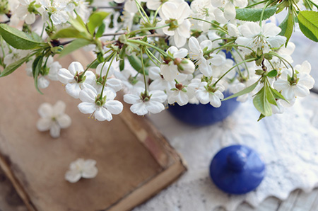 ������Ѯ��ȼ�ױ�������