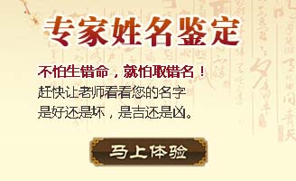 ����������ȫ