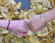 ����������Ӱ��