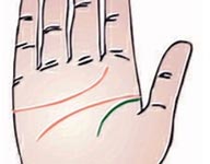 ����������������